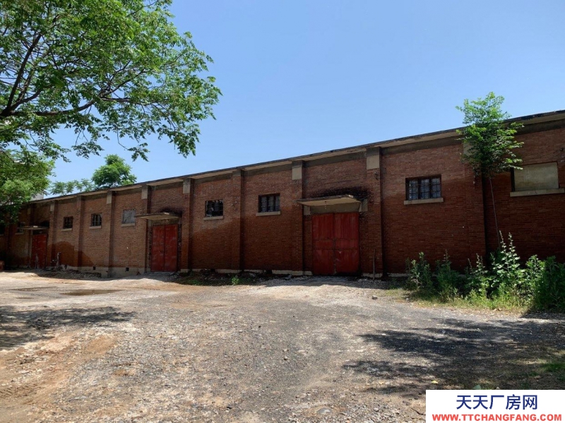 (出租) 焦作沁陽(yáng)西向鎮(zhèn)人民路農(nóng)業(yè)銀行北臨采購(gòu)部大院廠房倉(cāng)庫(kù)對(duì)外出租