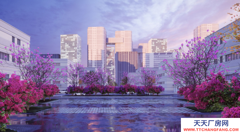 花園式，獨(dú)棟，框架結(jié)構(gòu)，可以分租，無(wú)中介費(fèi)，970-5000平