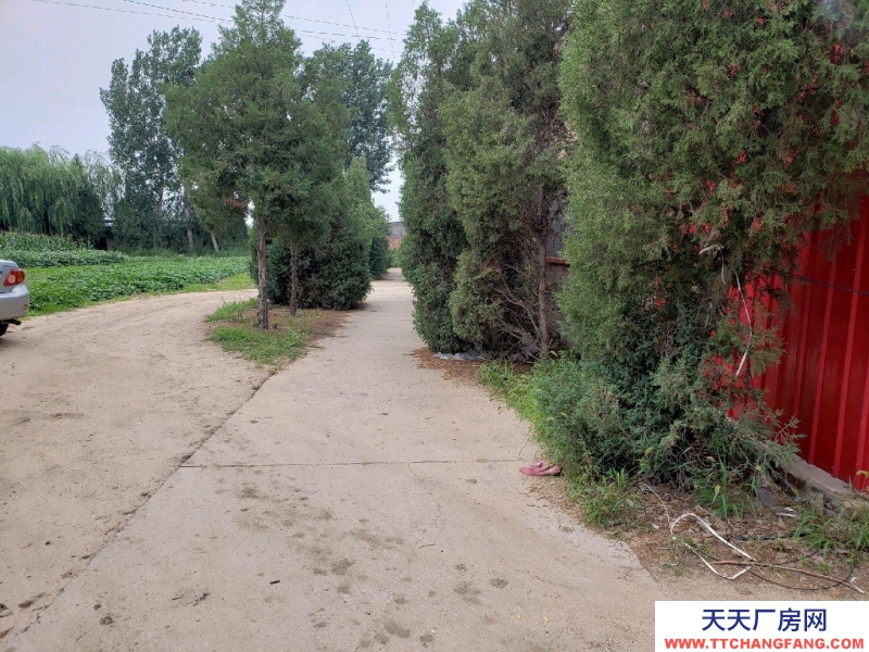 秦皇島 昌黎 昌黎縣城南小心莊村,臨機(jī)場(chǎng)快速路。