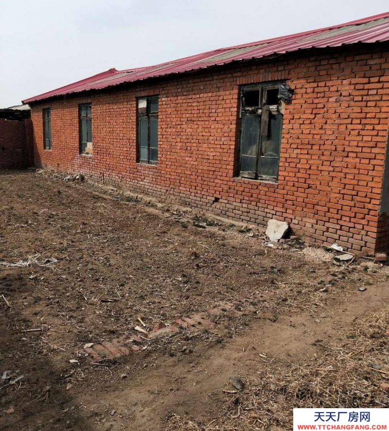 秦皇島 昌黎 廠房倉(cāng)庫土地出租適合養(yǎng)殖種植放廢品