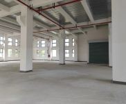 (出租)金山 亭林工業高質廠房，104地塊可環評，適合對形象要求高的企業