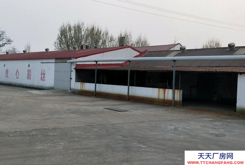 秦皇島 昌黎 庫房面積1000平,辦公樓400平