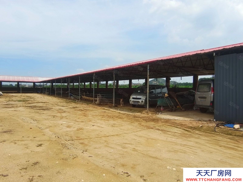 秦皇島 撫寧 楊洛木村4700平養殖場出租(出租) (商聯)撫寧楊洛木村4700平養殖場出租