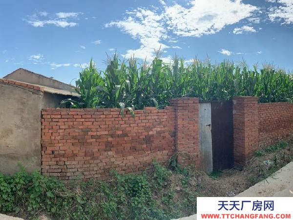 秦皇島 撫寧 農村大院出租，長租有優惠