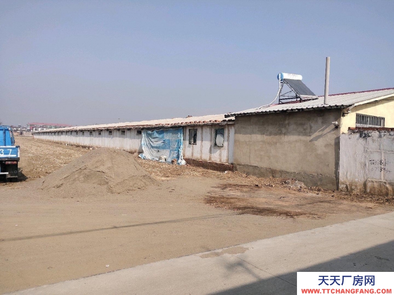 秦皇島 撫寧  原肉雞養殖場，全自動設備，離205國道近出行方便