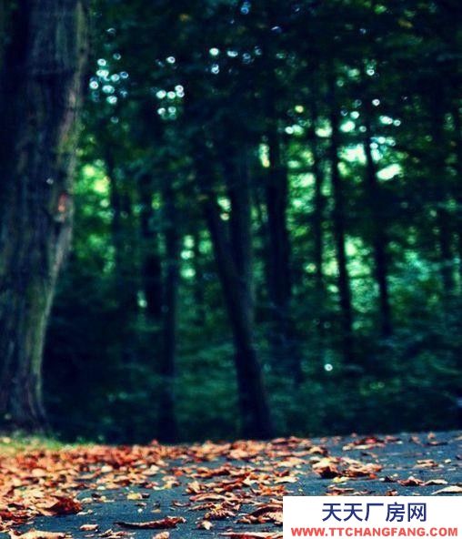 秦皇島 撫寧 獨門廠房大院交通便利雙高速下口