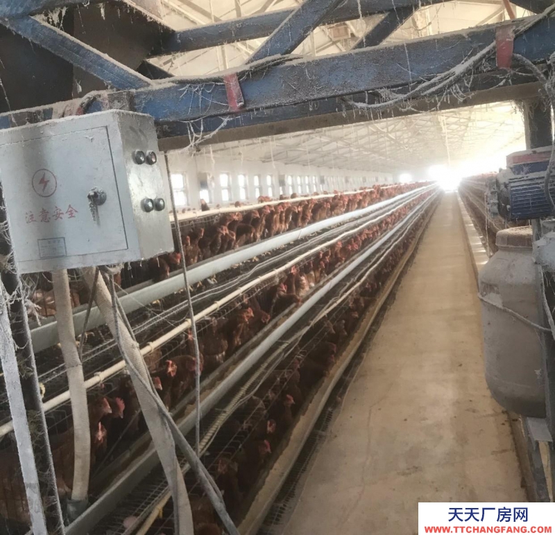 秦皇島 撫寧 留守營宏泰養(yǎng)殖廠整體出售