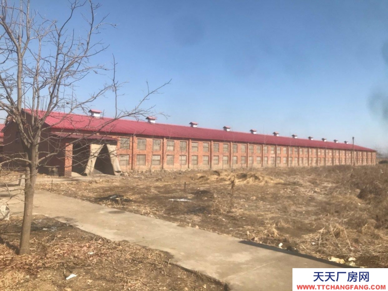 秦皇島 撫寧 留守營宏泰養(yǎng)殖廠整體出售