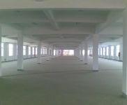 (出售) 金山區(qū) 獨門獨院 6畝 3800平 1520萬 近高速