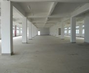 (出售) 金山區(qū) 獨門獨院 6畝 3800平 1520萬 近高速