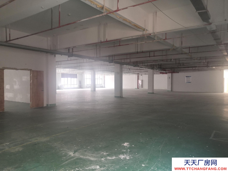 湖州織里大平層1374平方廠房出租，可以打通擴展至4900平方！