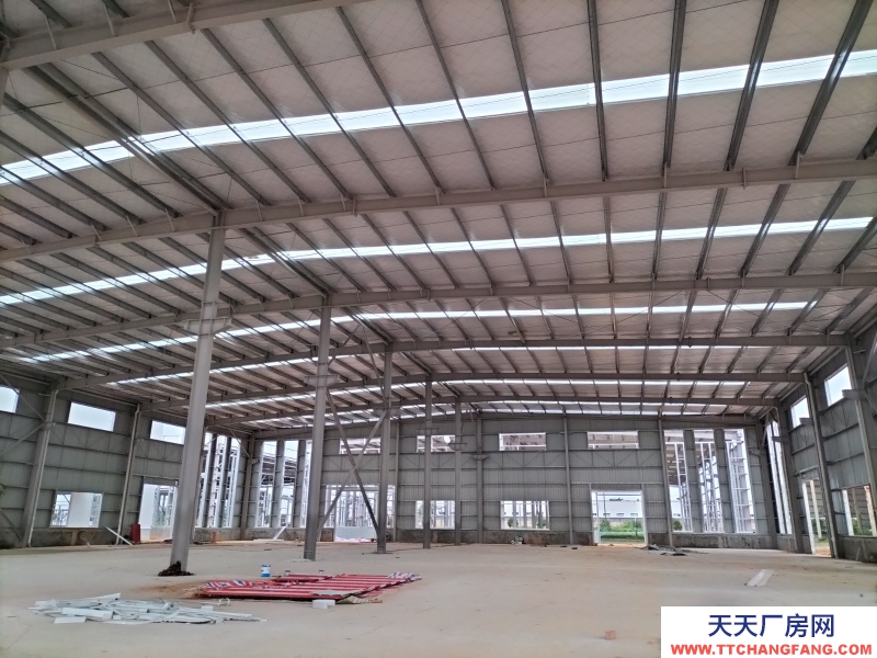 945㎡起售 單層鋼構廠房 獨門獨戶 三類工業(yè)用地行業(yè)不限