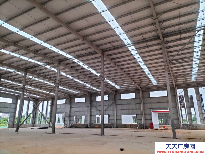 945㎡起售 單層鋼構廠房 獨門獨戶 三類工業用地行業不限