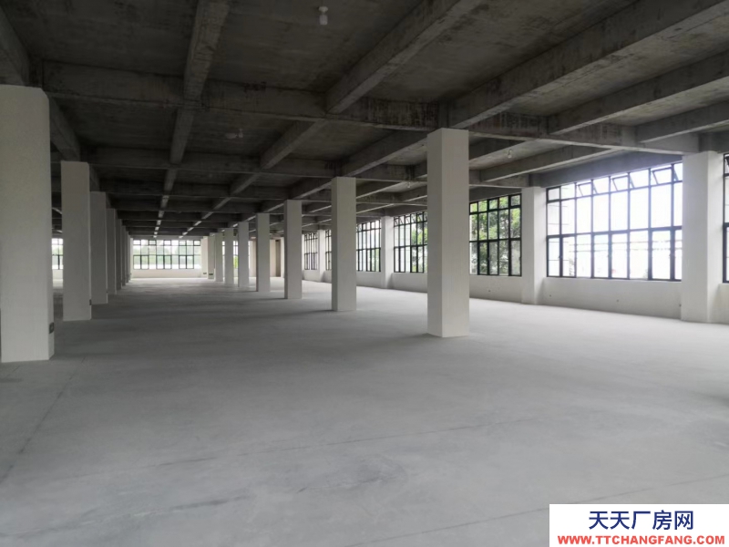 無中介費，獨棟，框架結(jié)構(gòu)，新廠房，兩層半設(shè)計，高贈送