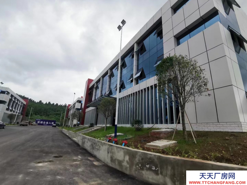 無中介費,獨棟,框架結構,新廠房,兩層半設計,高贈送