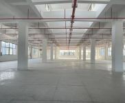 (出租) 松江洞涇工業區各類廠房，倉庫，辦公室出租