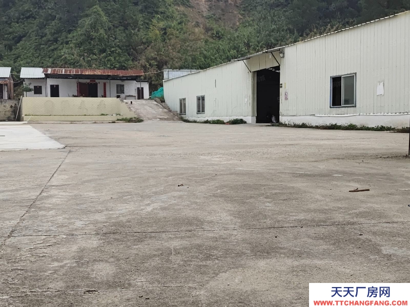 (出租) 廣州肇慶新空出800平米廠房出租 有隔熱層 價錢優(yōu)惠