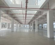 (出租) 松江洞涇工業區各類廠房，倉庫，辦公室出租