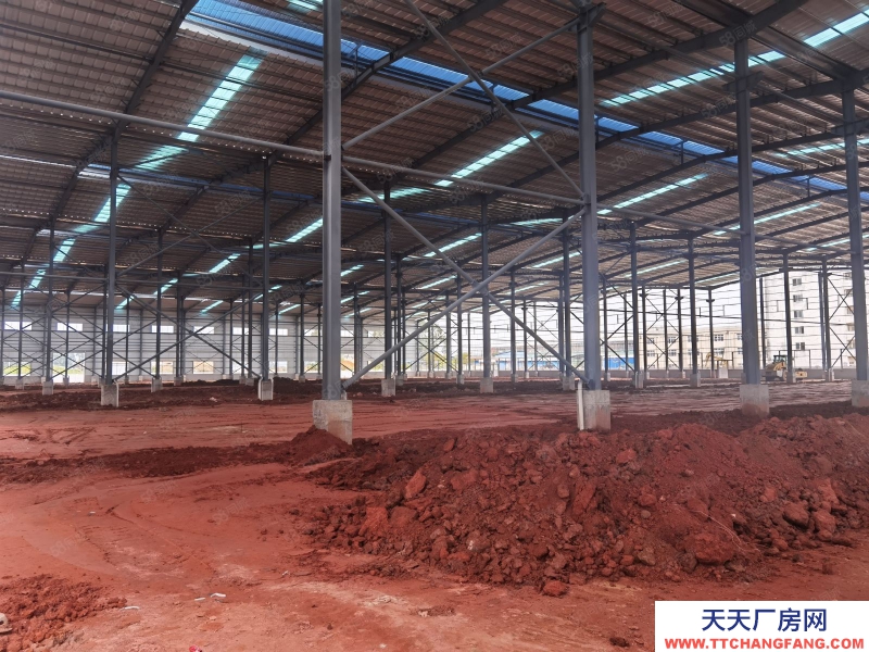 (出租) 廣州肇慶四會大沙工業園全新獨院單層加樓層46000平方,可分租