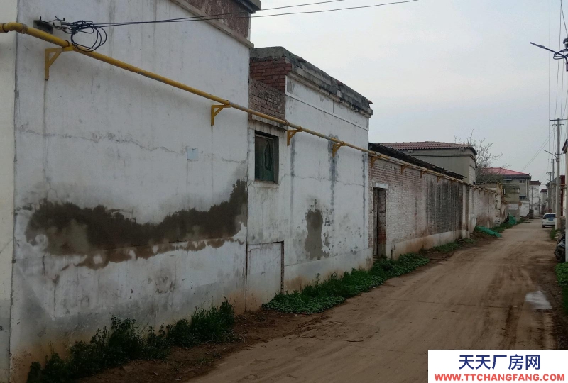 邯鄲 邯山 現(xiàn)有獨(dú)立小院對外出租