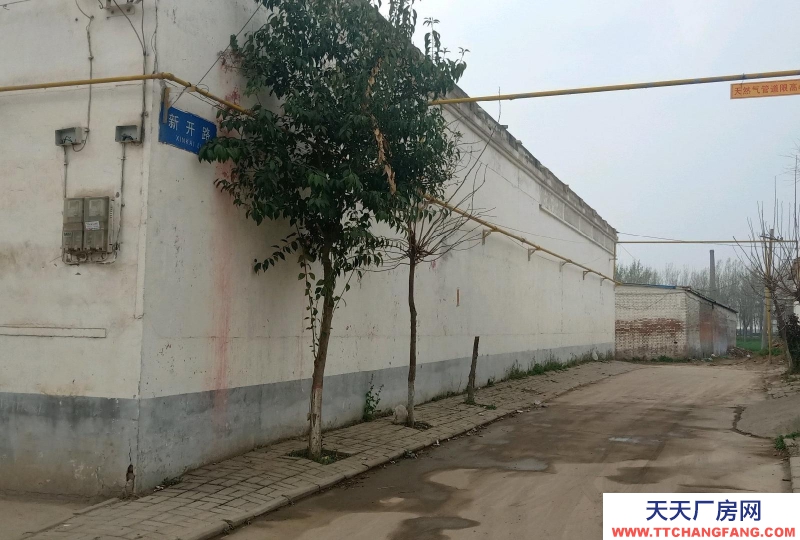 邯鄲 邯山 現(xiàn)有獨(dú)立小院對外出租