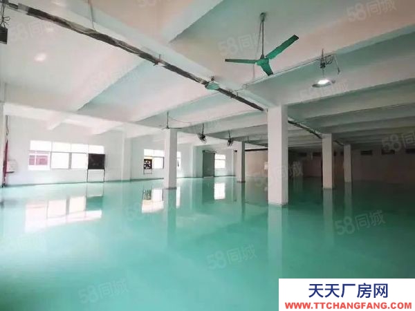 威海環翠現房出售 面積1200平至4000平可選 可生產環評首付兩成