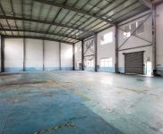 (出售) 奉賢金匯鎮(zhèn)獨棟廠房出售，單層11米，50年產權