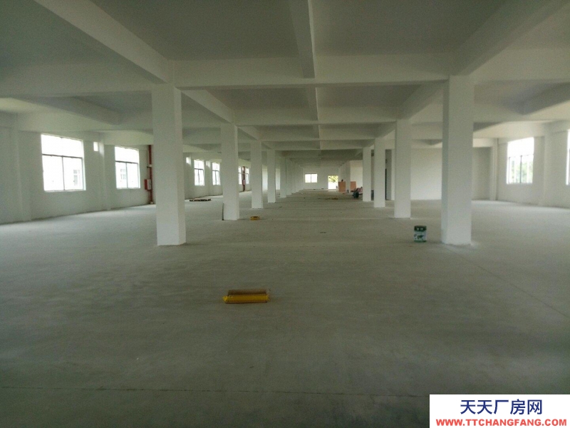 (出租) 廣州肇慶1000方到8000方廠房出租！手快有手慢無！