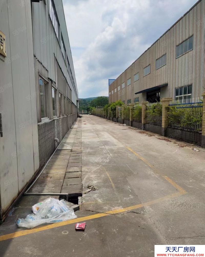 (出租)柳州 柳南河西靚麗8000平標(biāo)準(zhǔn)廠房免中介費(fèi)出租