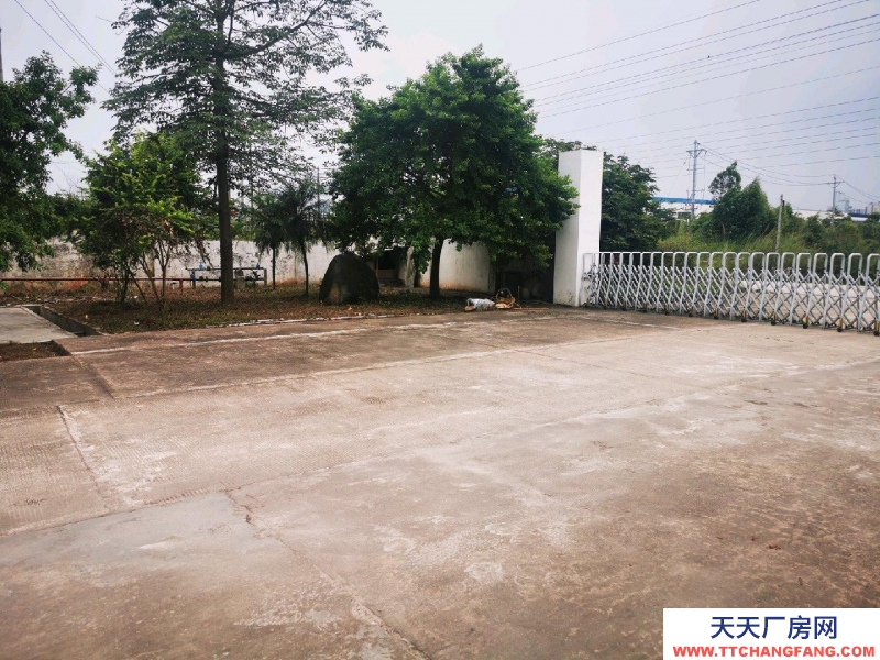 (出租) 廣州肇慶廠房空地多，具體詳情請面議。