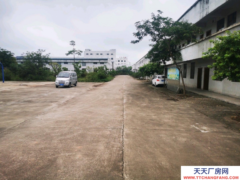 (出租) 廣州肇慶廠房空地多，具體詳情請面議。