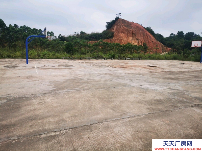 (出租) 廣州肇慶廠房空地多，具體詳情請面議。