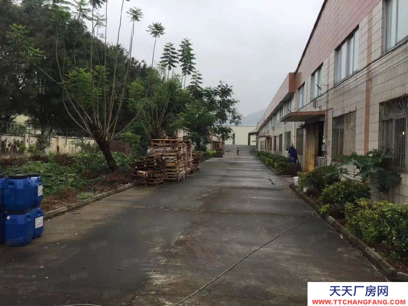 (出租) 廣州肇慶高要國(guó)道邊可辦環(huán)評(píng)交通便利單一層廠房