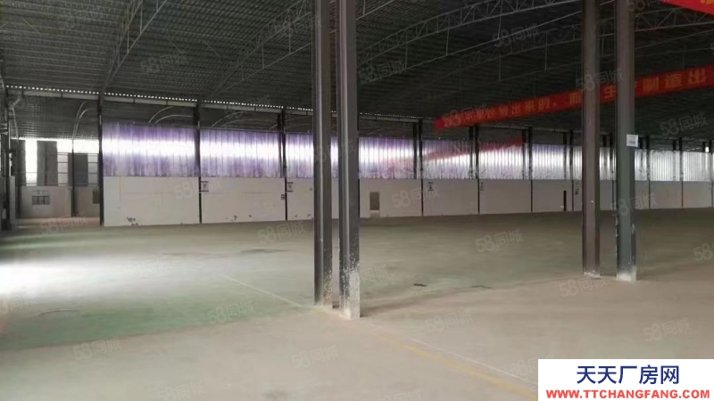 (出租) 廣州肇慶高要白土新出小獨(dú)院廠房宿舍辦公配套齊全