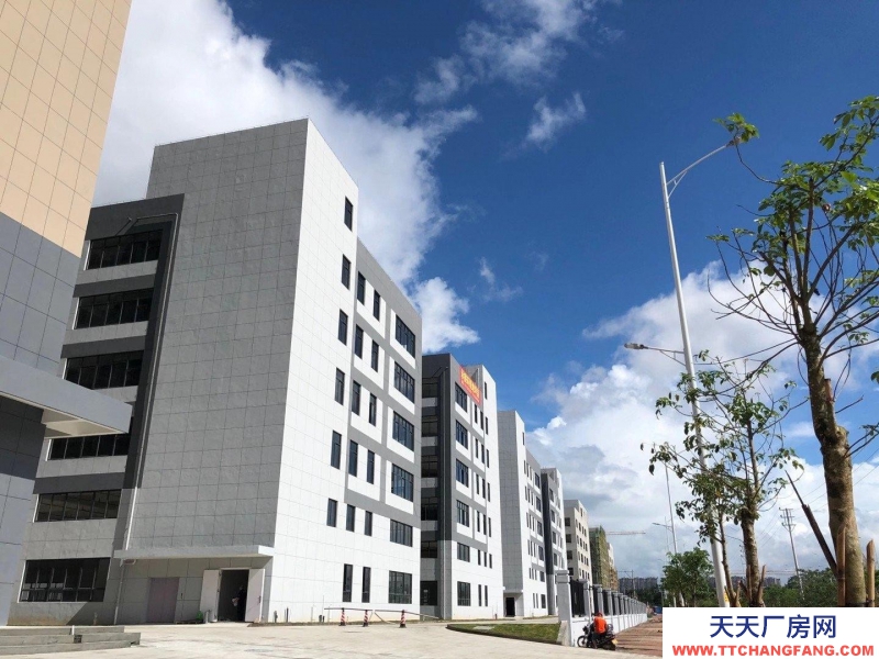 (出售) 廣州肇慶四會現(xiàn)房！1千方起售，環(huán)評，消防包辦，產(chǎn)權(quán)50年！