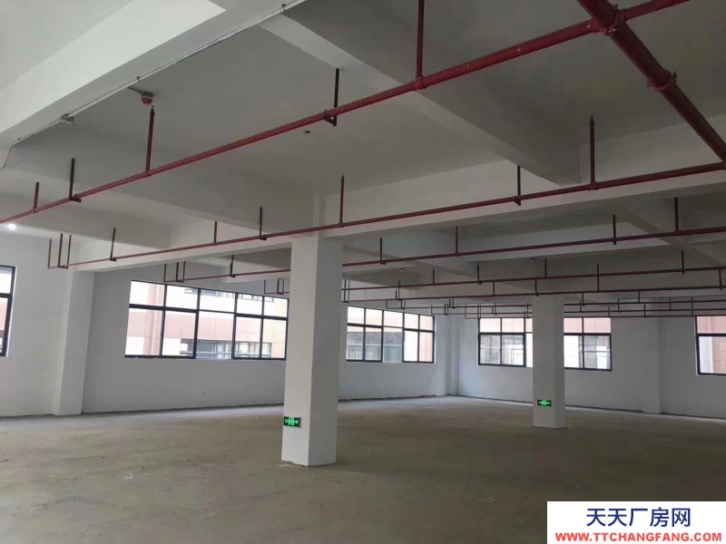 (出售) 廣州肇慶四會現(xiàn)房！1千方起售，環(huán)評，消防包辦，產(chǎn)權(quán)50年！