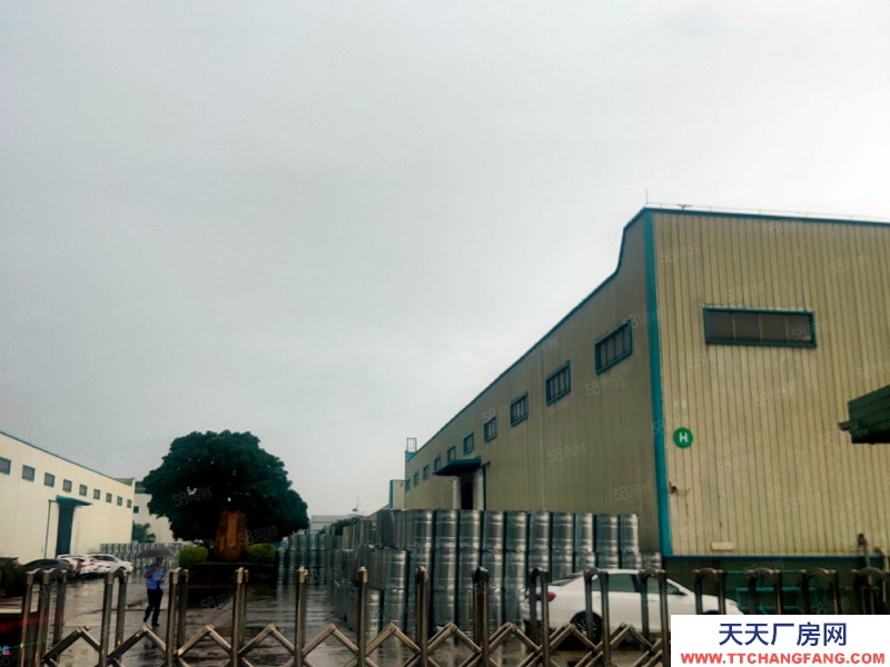 (出售) 廣州肇慶高要區(qū)蜆崗鎮(zhèn)低價廠房出售