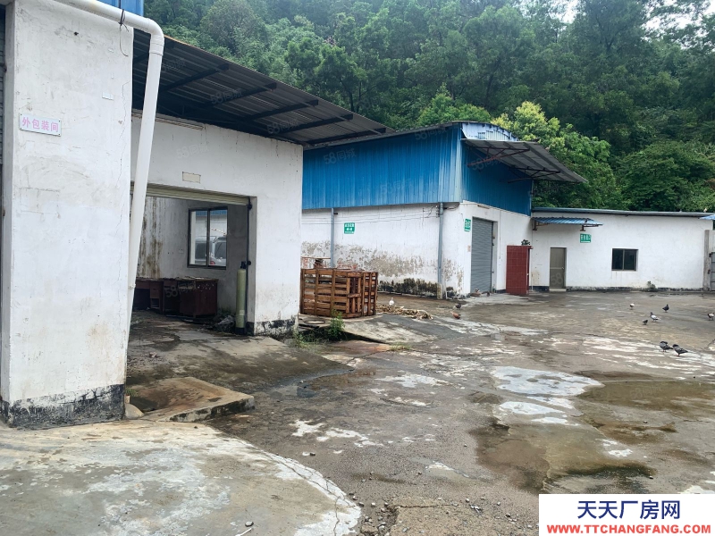 (出售) 廣州肇慶高要南岸西環(huán)山邊 廠房出售 價格便 位置靚