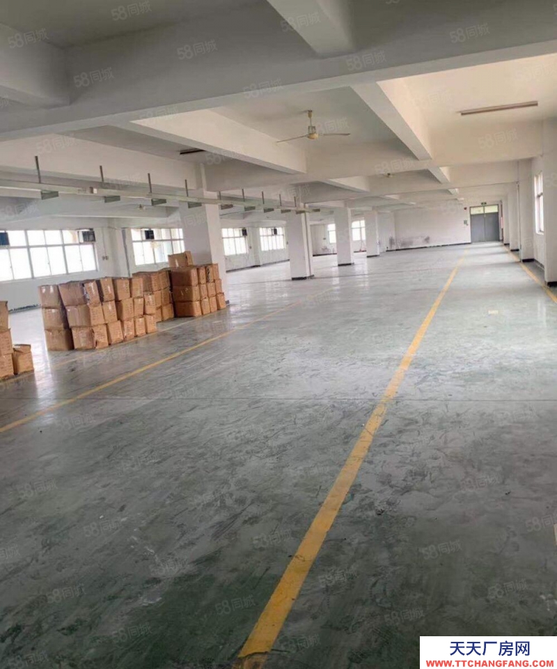 溫州樂清(出售) 全新廠房 甌江口小微園 2300平 3800平獨(dú)棟 直過戶