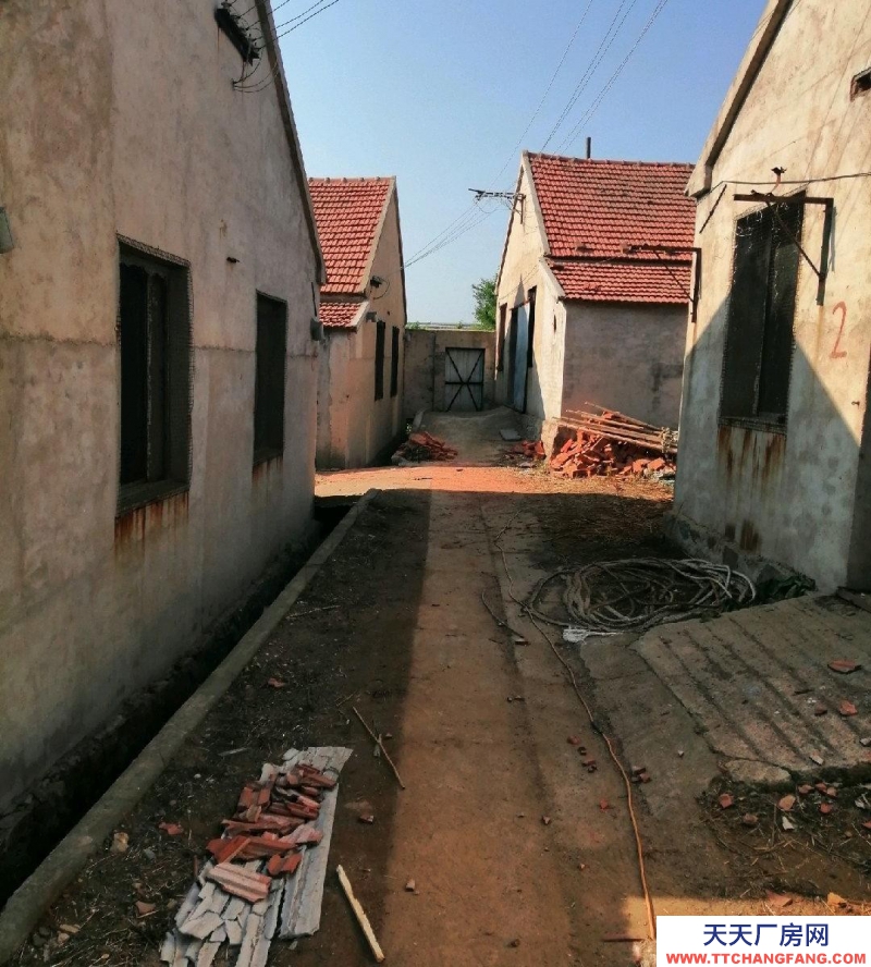 威海文登養(yǎng)殖場建設(shè)價出租出售