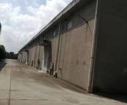 (出租)崇明 大型倉庫，價格可面議。