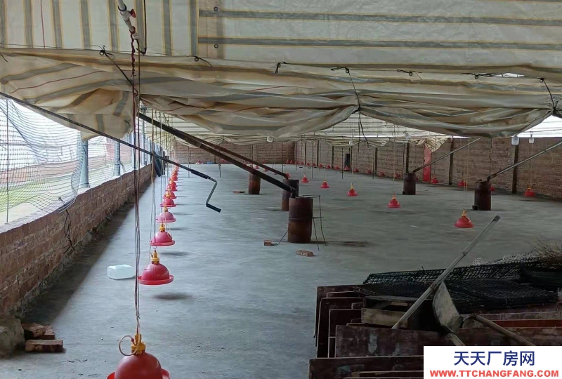 (出租)柳州柳城縣 廠房位于柳城縣東泉鎮洲村，總面積1850平方，屬于。