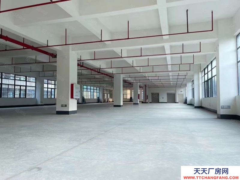 (出租) 清遠(yuǎn)清城區(qū)石角帶印刷環(huán)評高標(biāo)廠房出租