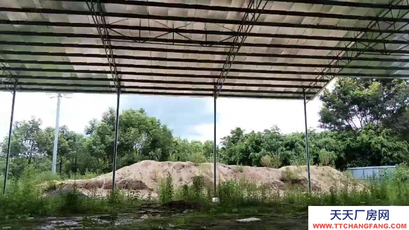 (出租) 清遠8000方，月租4.2萬，適合多種輕污行業，1260千瓦