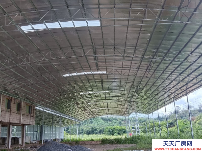 (出租) 清遠8000方,月租4.2萬,適合多種輕污行業,1260千瓦