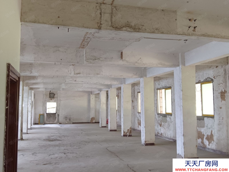 (出租) 清遠8000方,月租4.2萬,適合多種輕污行業,1260千瓦