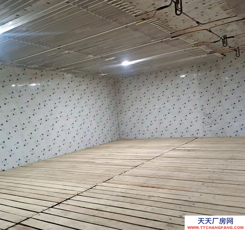 (出租) 龍湖街冷庫和倉庫出租