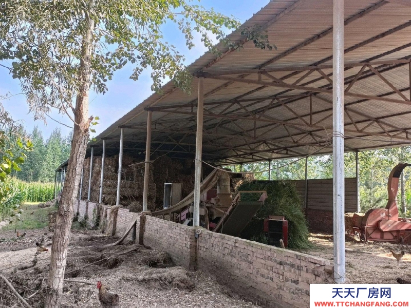 (出租) 養(yǎng)殖場在榆社縣和平村。養(yǎng)殖業(yè)優(yōu)選，方便養(yǎng)殖牛羊