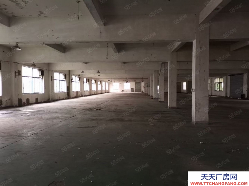 嘉興秀洲(出租) 高照街道 底樓500平 可做各類倉儲 小生產 門口好停車
