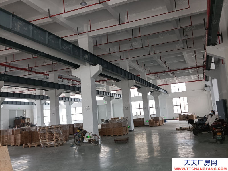 嘉興秀洲(出租) 王店工業(yè)園1300平層高7米帶行車價格23元每平大車進出方便